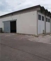 Affitto Capannone in via del commercio, 1/a