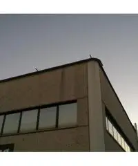 H 120 Locale artigianale