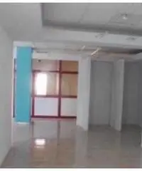 Vendita Capannone in Strada Statale Arceviese, snc