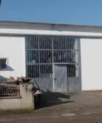 Vendita capannone mq. 220 - Molinella