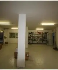 Affitto Laboratorio in Via Carlo Goldoni, 87