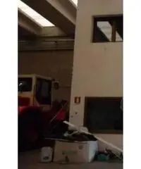 Torbole: Vendita Capannone da 570mq