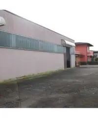 V001113 - Capannone