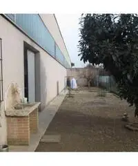 V001113 - Capannone