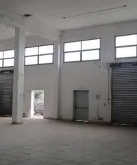 V000817 - Capannone a Sestu