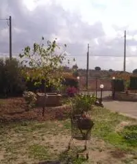 Capannone magazzino mq300 con terreno mq5000 uffici ecc