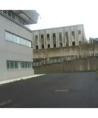 Capannone nuova costruzione