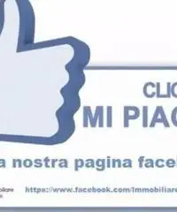 Affitto Capannone in via Baldanzese