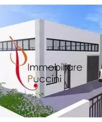 Affitto Capannone in via Vittorio Emanuele