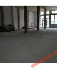 CAPANNONI MAGAZZINI - INDUSTRIALE - BAGNO A RIPOLI
