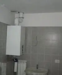 Viottolone: Affitto Capannone in Viale Europa