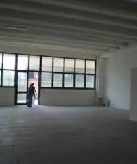 Viottolone: Affitto Capannone in Viale Europa