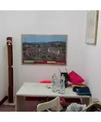 Vendita capannone mq. 450 - Zona Molassana Vendita capannone mq. 450 - Zona Molassana