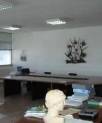 Vendita Capannone in Loc. Zona Industriale