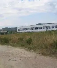 Capannone industriale in vendita a RIOTORTO - Piombino 4500 mq  Rif: 152048