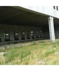 Vendita Capannone in strada provinciale 196  0 Vendita Capannone in strada provinciale 196  0