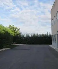 V001623 - MEDOLE V001623 - MEDOLE