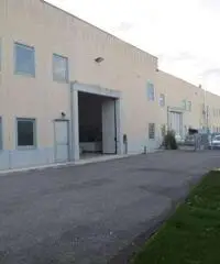 V001623 - MEDOLE