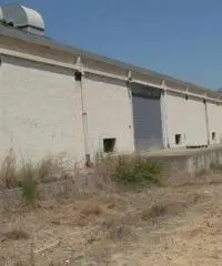 capannone industriale in vendita Ferrandina