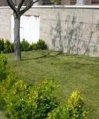 ottima visibilità