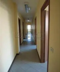 Affitto Capannone con ascensore