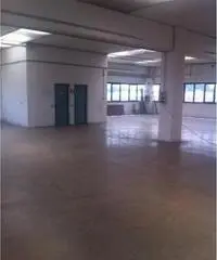 Affitto Capannone da 1156mq