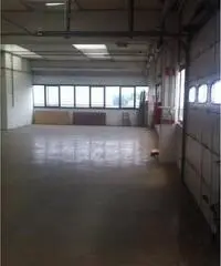 Affitto Capannone da 1156mq