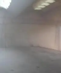 Affitto Capannone da 1570mq