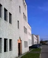 Affitto Capannone