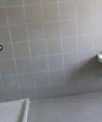 Affitto Capannone in via Idiomi