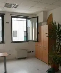 Affitto Capannone in Via Italo Calvino Affitto Capannone in Via Italo Calvino