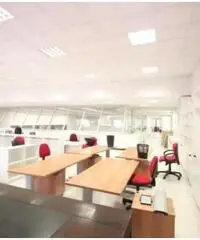 Affitto Capannone in Viale Italia