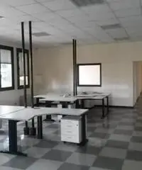 Affitto Capannone in Via Gian Lorenzo Bernini