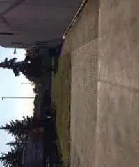 Affitto Capannone in VIA PICASSO