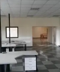 Affitto Capannone in Via Gian Lorenzo Bernini