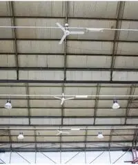 Affitto Capannone in Via Cassanese