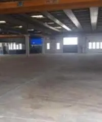 Cerchiate: Affitto Capannone in Via Gabriele D'Annunzio