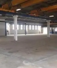 Cerchiate: Affitto Capannone in Via Gabriele D'Annunzio