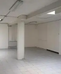 Vendita Capannone da 1300mq