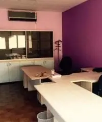 Vendita Capannone da 790mq