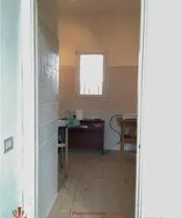 Venina: Affitto Capannone in via valleambrosia