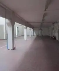 Vendita Capannone da 2000mq