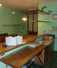 Vendita Capannone in via cadore, Carpi,It