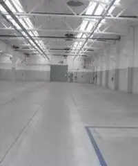 Affitto Capannone da 4500mq Affitto Capannone da 4500mq