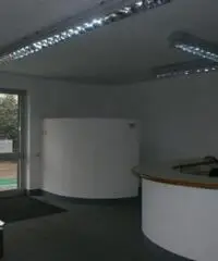 Affitto Capannone da 4500mq Affitto Capannone da 4500mq