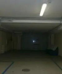 Affitto Capannone da 4500mq Affitto Capannone da 4500mq