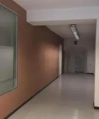 Affitto Capannone da 6000mq