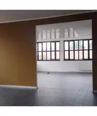 Affitto Capannone in Via Monte Grappa