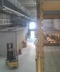 Vendita Capannone in strada boschi