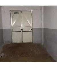 RifITI 019-24768 - Capannone Industriale in Affitto a Mugnano di Napoli di 200 mq